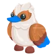 Kookaburra
