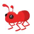 Ant