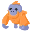 Orangutan