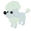 Poodle