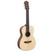 Camper’s Guitar rare