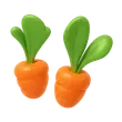 Carrot Sprout