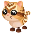 Catte