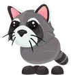 Raccoon