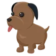 Chocolate Labrador