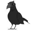 Crow