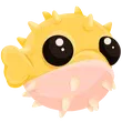 Puffer Fish