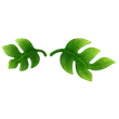 Eco Green Vine Mustache common