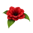 Forgotten Flower ultra_rare