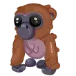 Gibbon rare