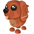 Irish Setter