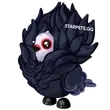 Jacobin Pigeon