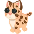 Leopard Cat