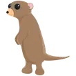 Meerkat