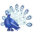 Moonbeam Peacock