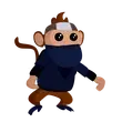 Ninja Monkey