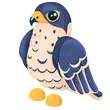 Peregrine Falcon