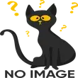 Wildfire Hawk