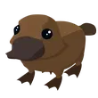 Platypus