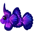 Singularity Pisces