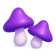 Purple Mushrooms common
