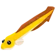 Eel