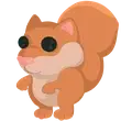 Red Squirrel