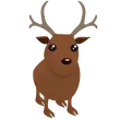 Reindeer