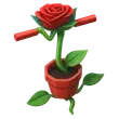 Rose Pogo rare