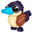 Ruddy Duck