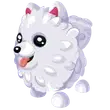 Samoyed