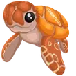 Sea Turtle