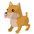 Shiba Inu