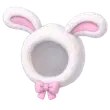 Spring Bunny Hood