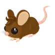 Field Mouse