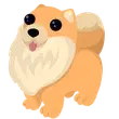 Pomeranian