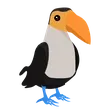 Toucan