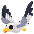 Seagull