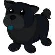 Black Chow-Chow