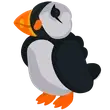Puffin