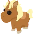 Shetland Pony Light Brown