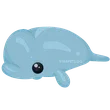 Beluga Whale