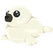 Harp Seal