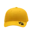 Yellow Cap common