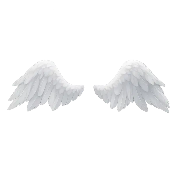 Buy Angel Wings (Type, Subtype, Rarity) in Adopt me | Price from $13.15 ...