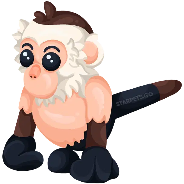 Capuchin Monkey rare, Adopt me