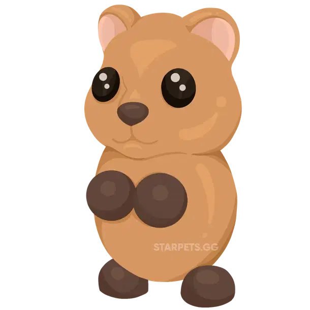 Quokka uncommon, Adopt me