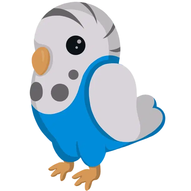 Parakeet rare, Adopt me