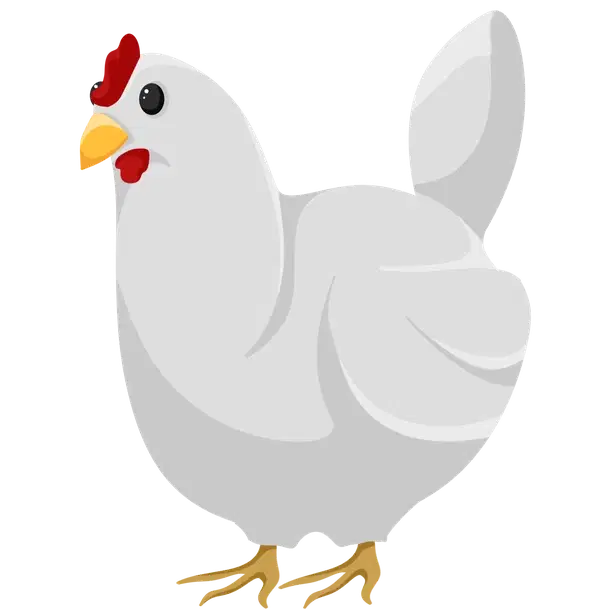 Chicken common, Adopt me