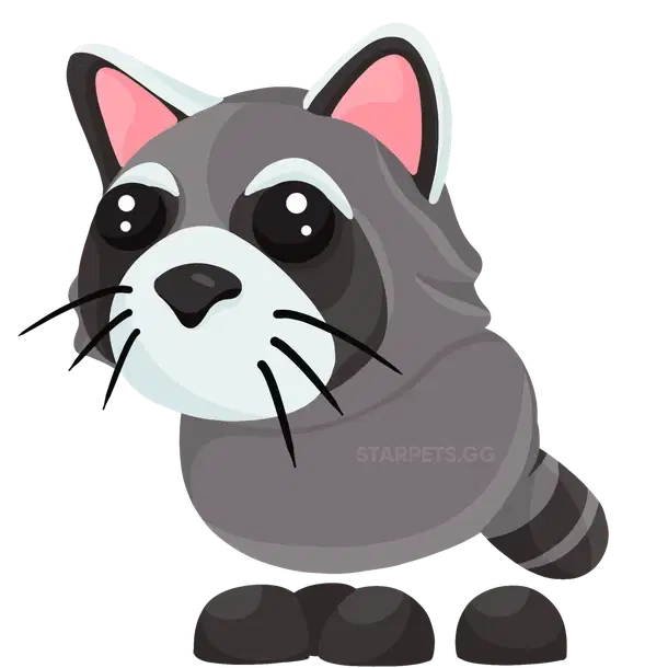 Raccoon uncommon, Adopt me